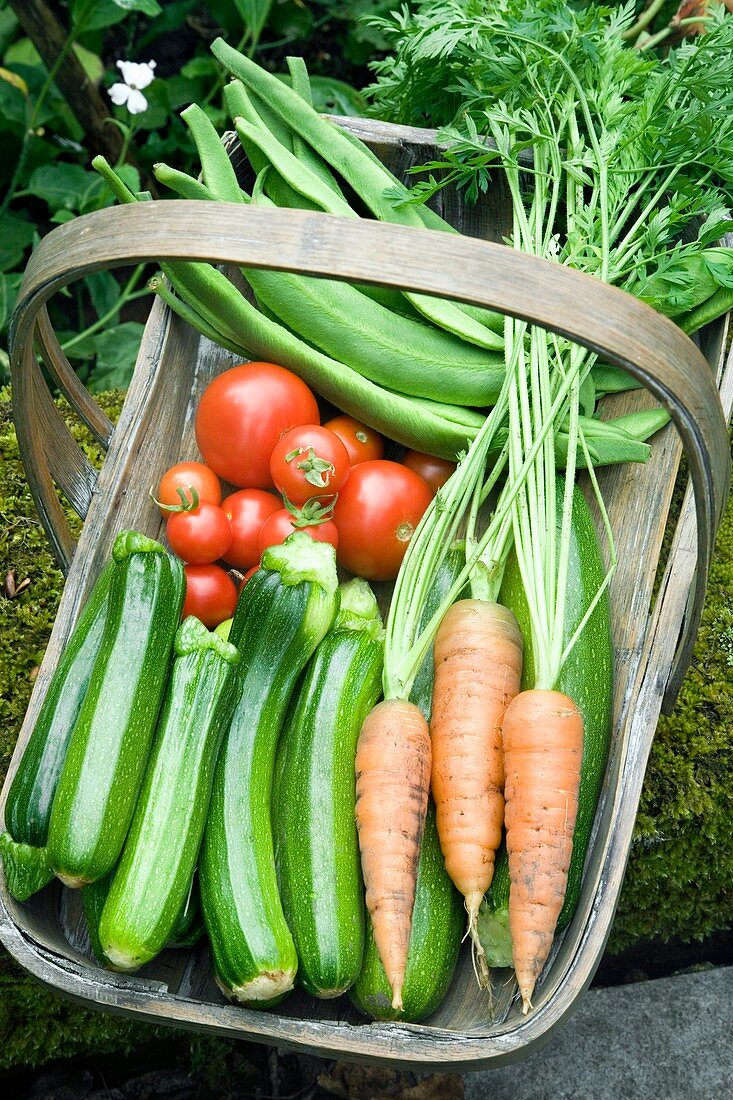 Home-grown organic vegetables