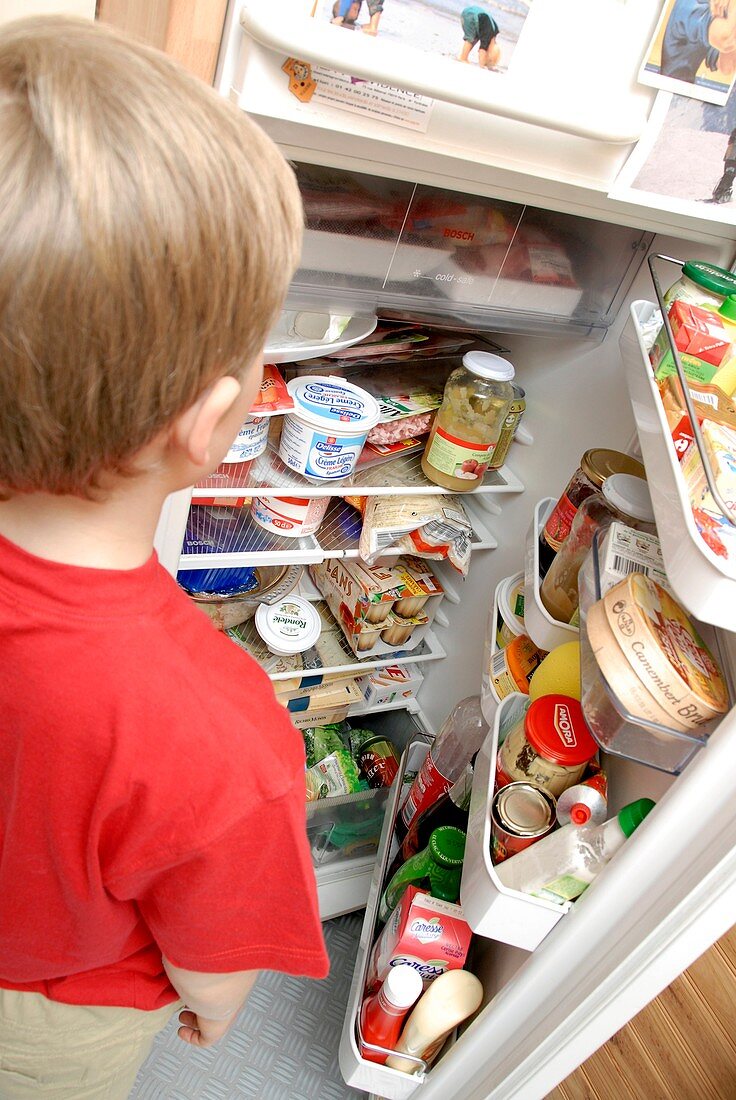 Boy looking in fridge