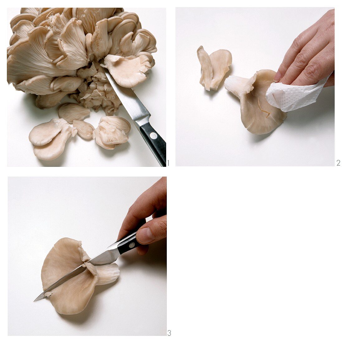 Preparing oyster mushrooms