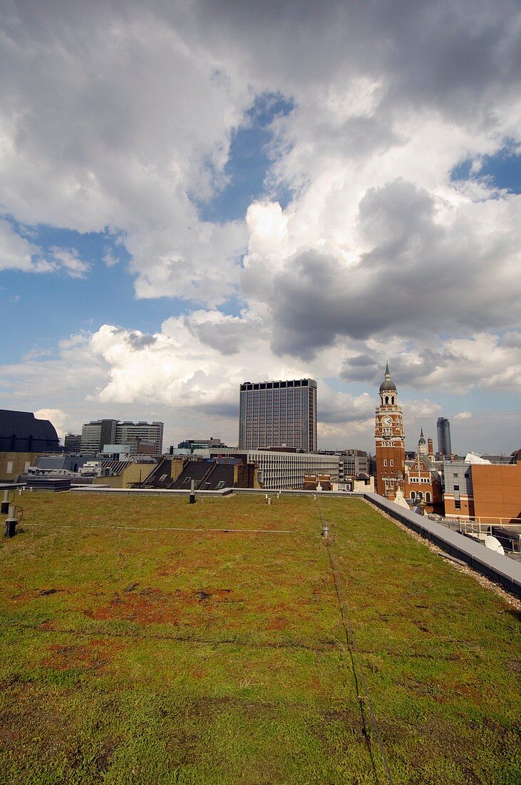 Green roof,Croydon,UK