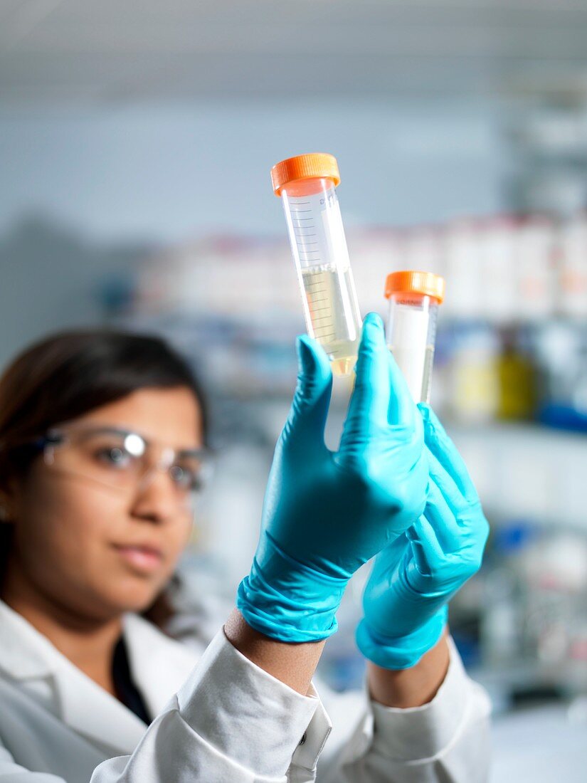 Analysis of cell cultures