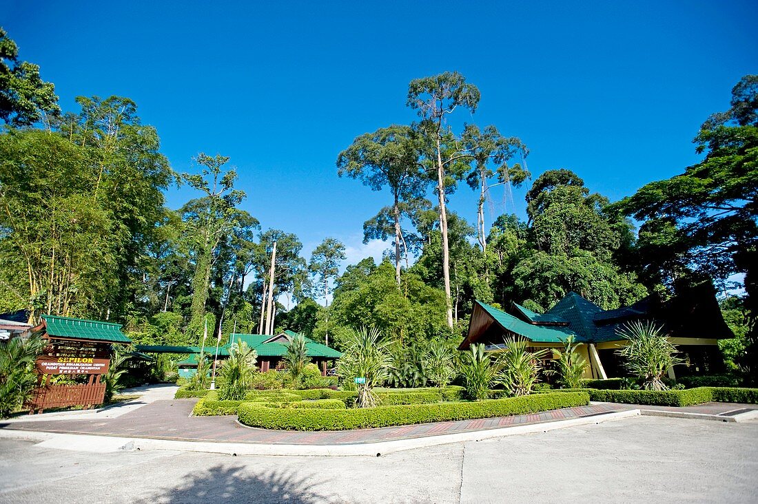Sepilok Rehabilitation Centre,Malaysia