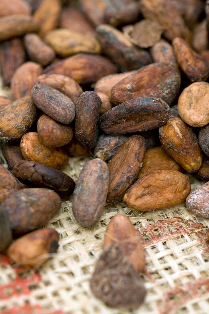 Cocoa beans