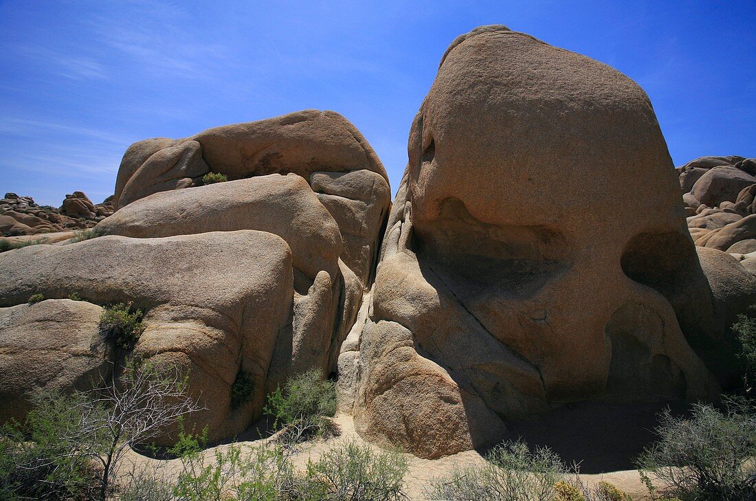 Skull Rock,USA