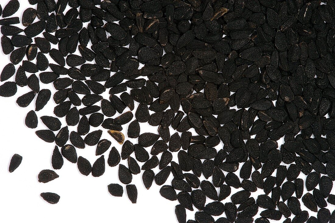 Nigella seeds