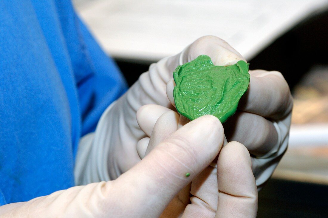 Forensics fingerprinting material testing