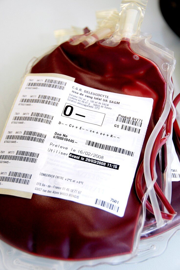 Donated blood bags