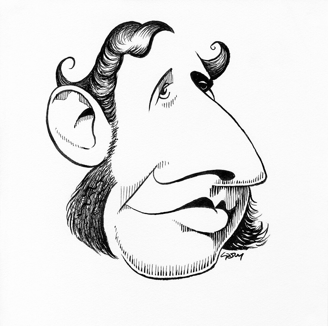 Robert FitzRoy,caricature