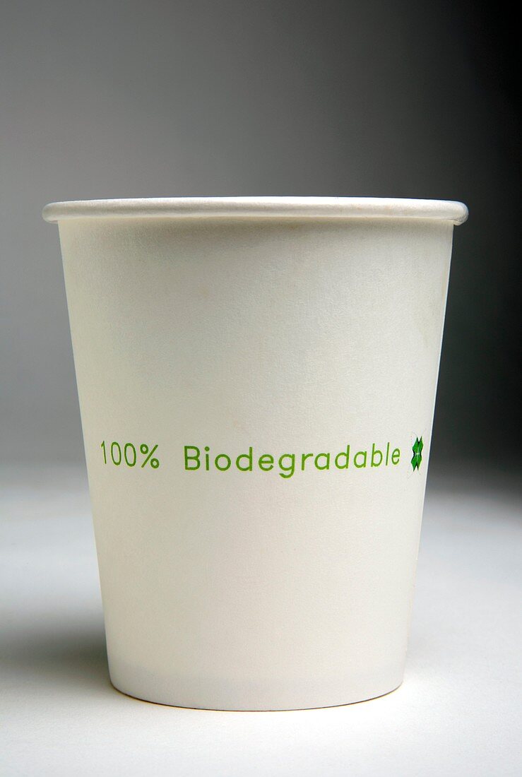 Biodegradable cup