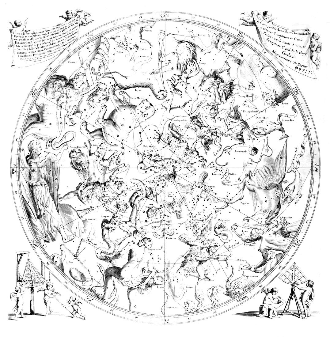 Northern constellations,1690 artwork