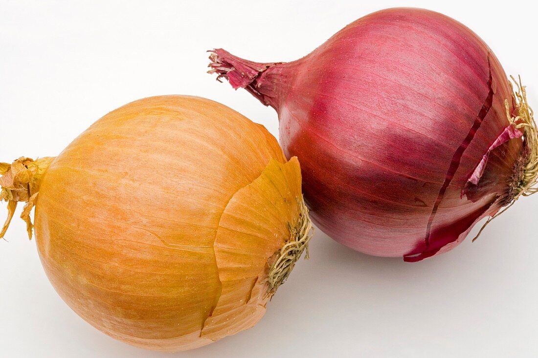White and red onions
