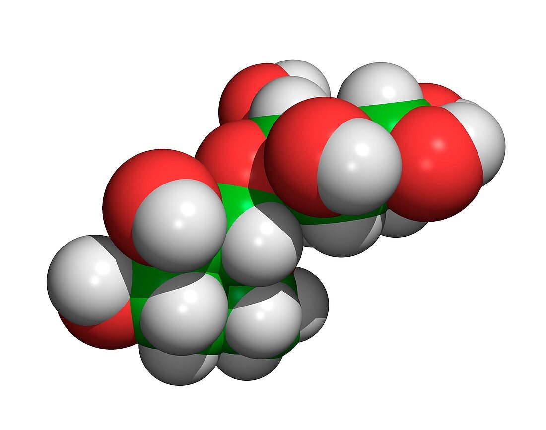 Fructose molecule