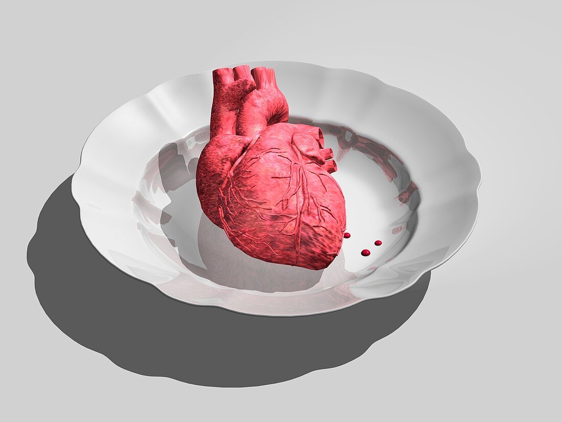 Donor heart,conceptual artwork