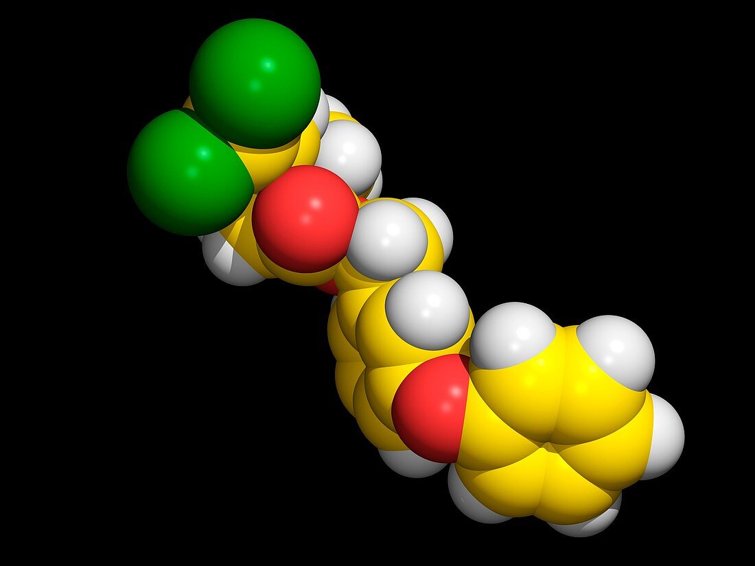 Permethrin insecticide molecule