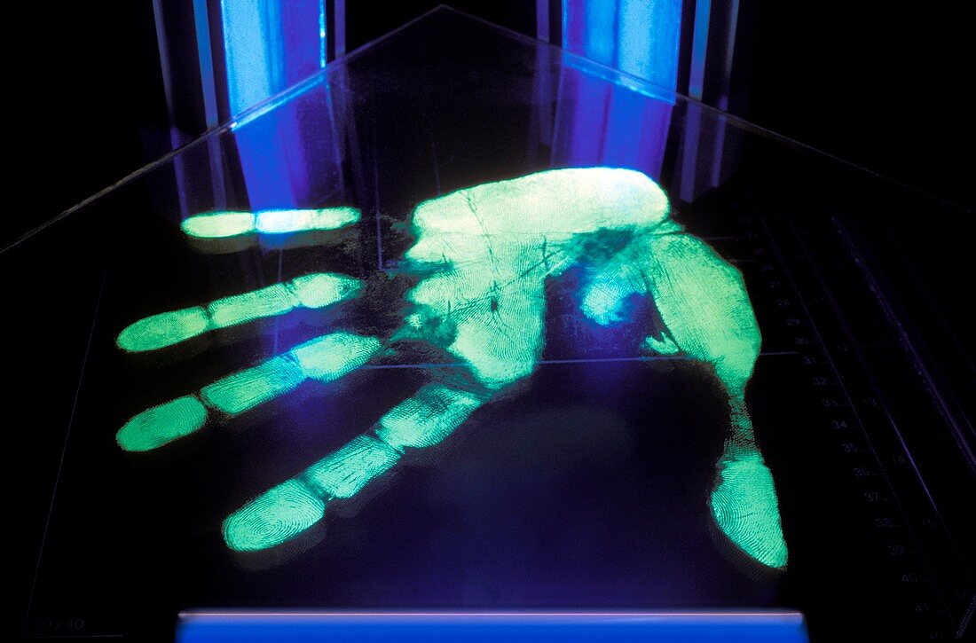 Ultraviolet light detection of handprint