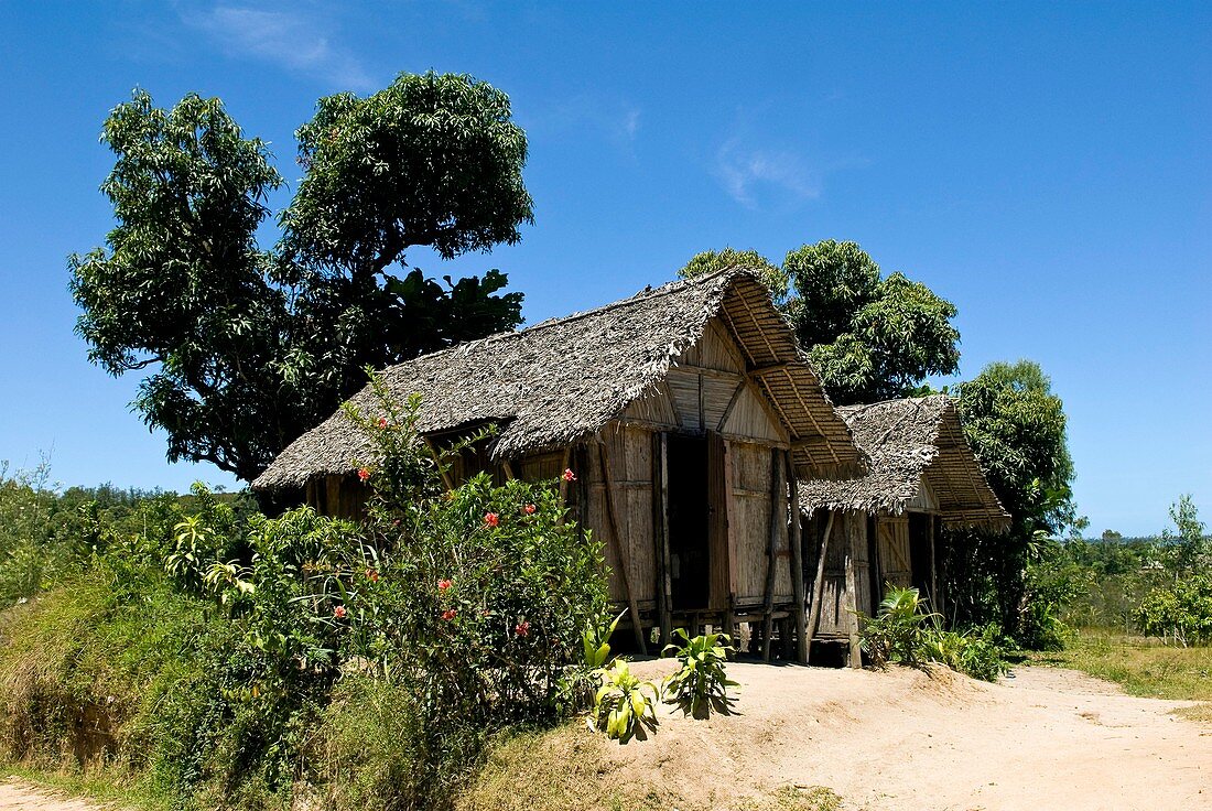 Traditional hut,Madagascar