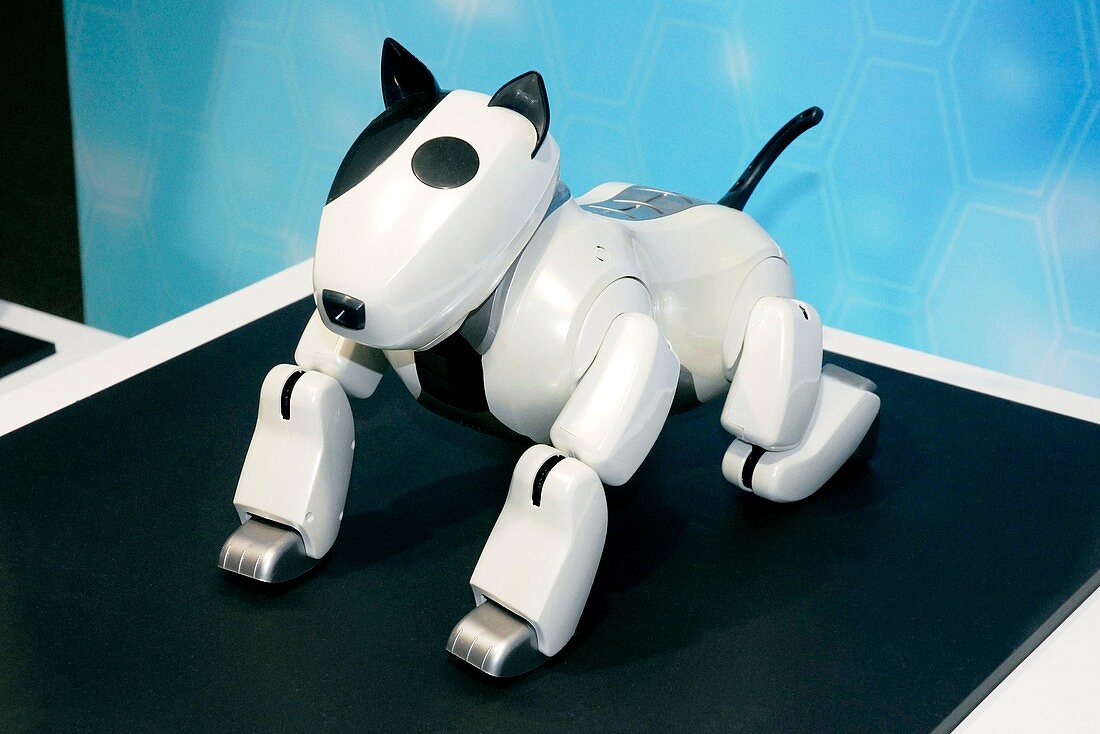 Genibo dog robot