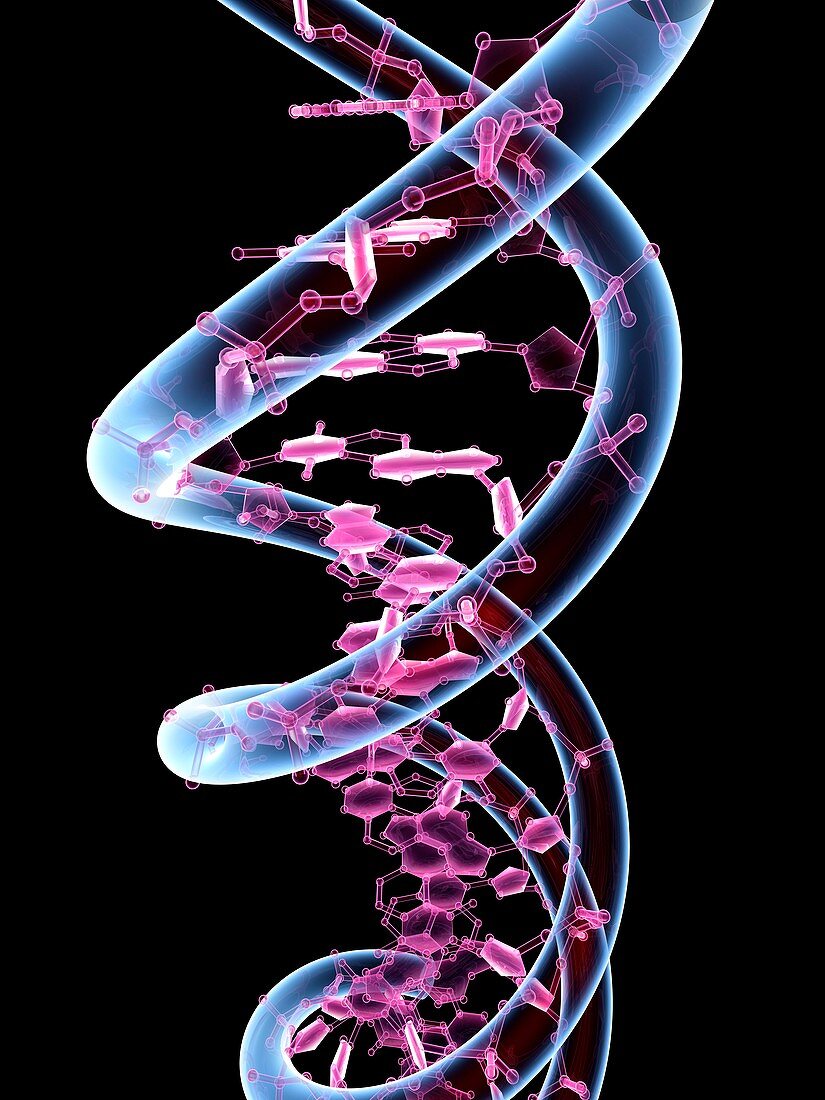 DNA molecule,conceptual artwork