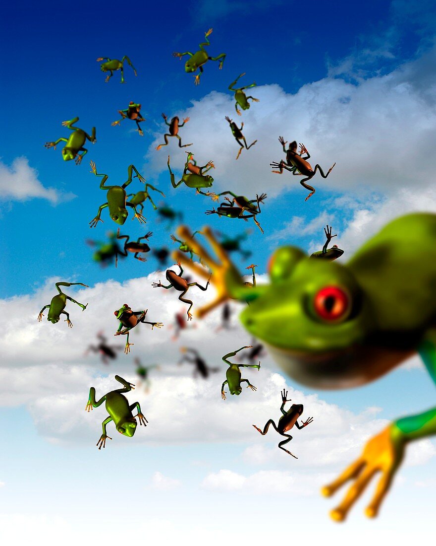 Raining frogs,artwork