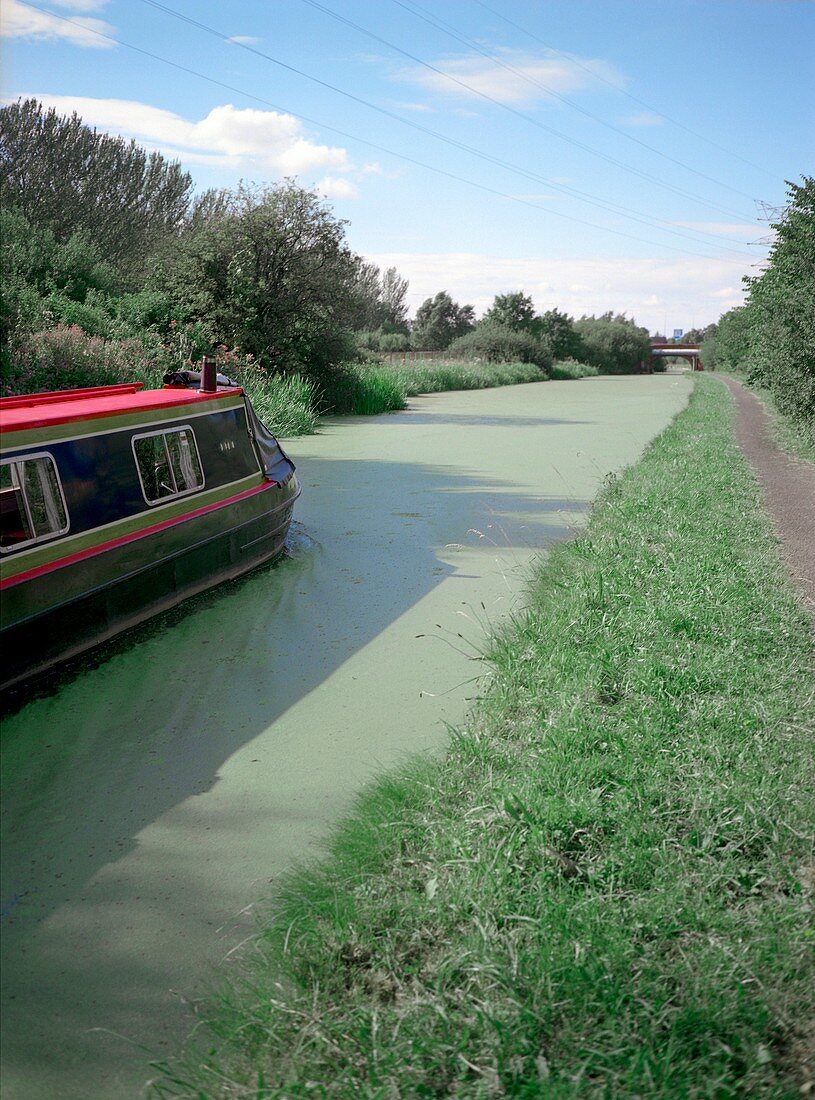 Polluted canal,Cheshire,UK