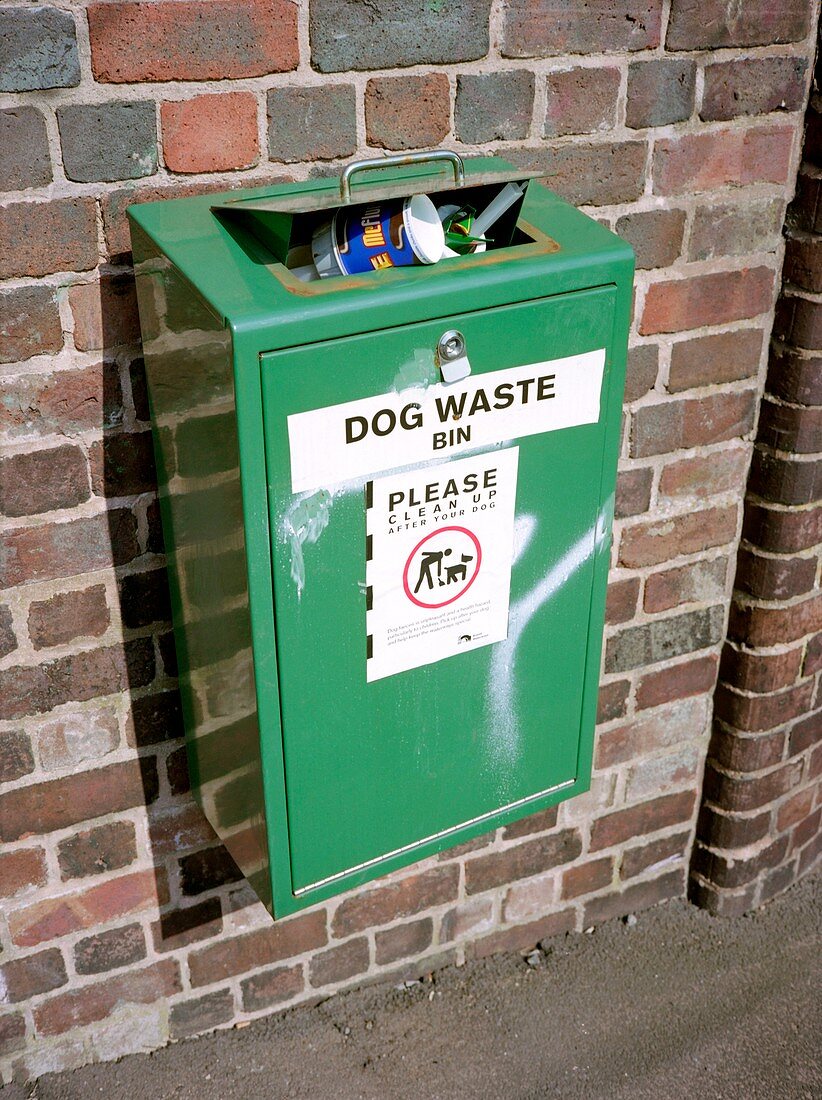 Overflowing dog waste bin