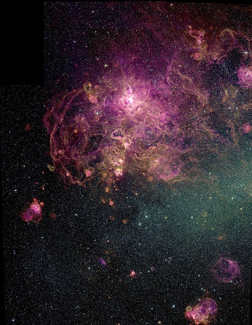 Tarantula nebula NGC 2070