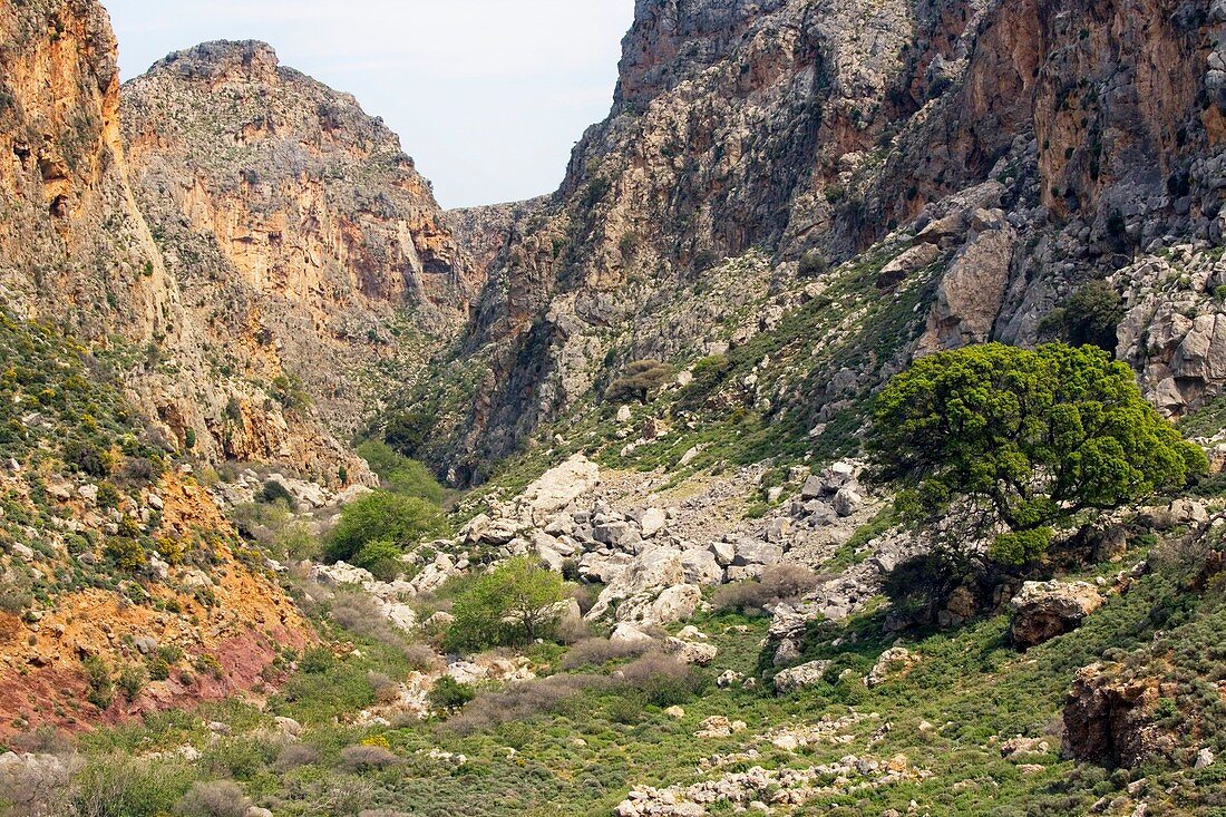 Zakros gorge,Crete