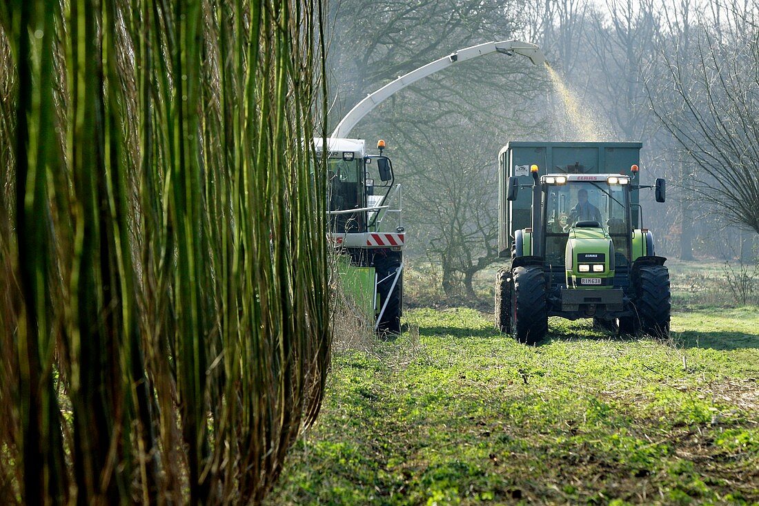 Biomass project,Belgium