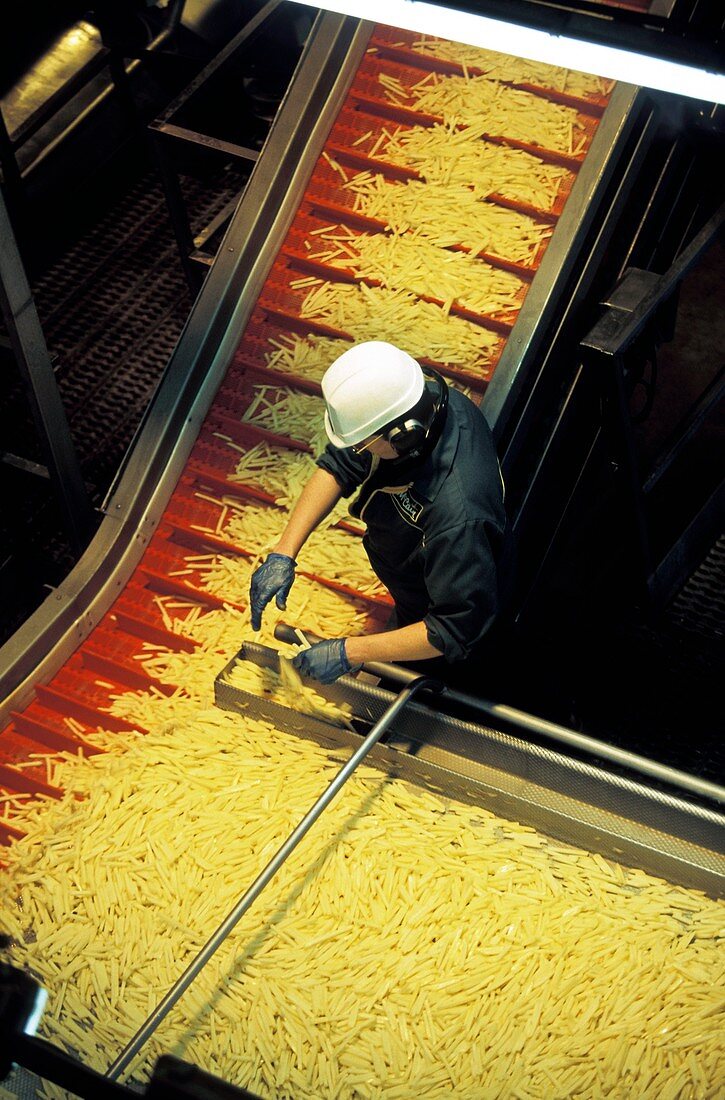 Frozen chip factory,raw chips