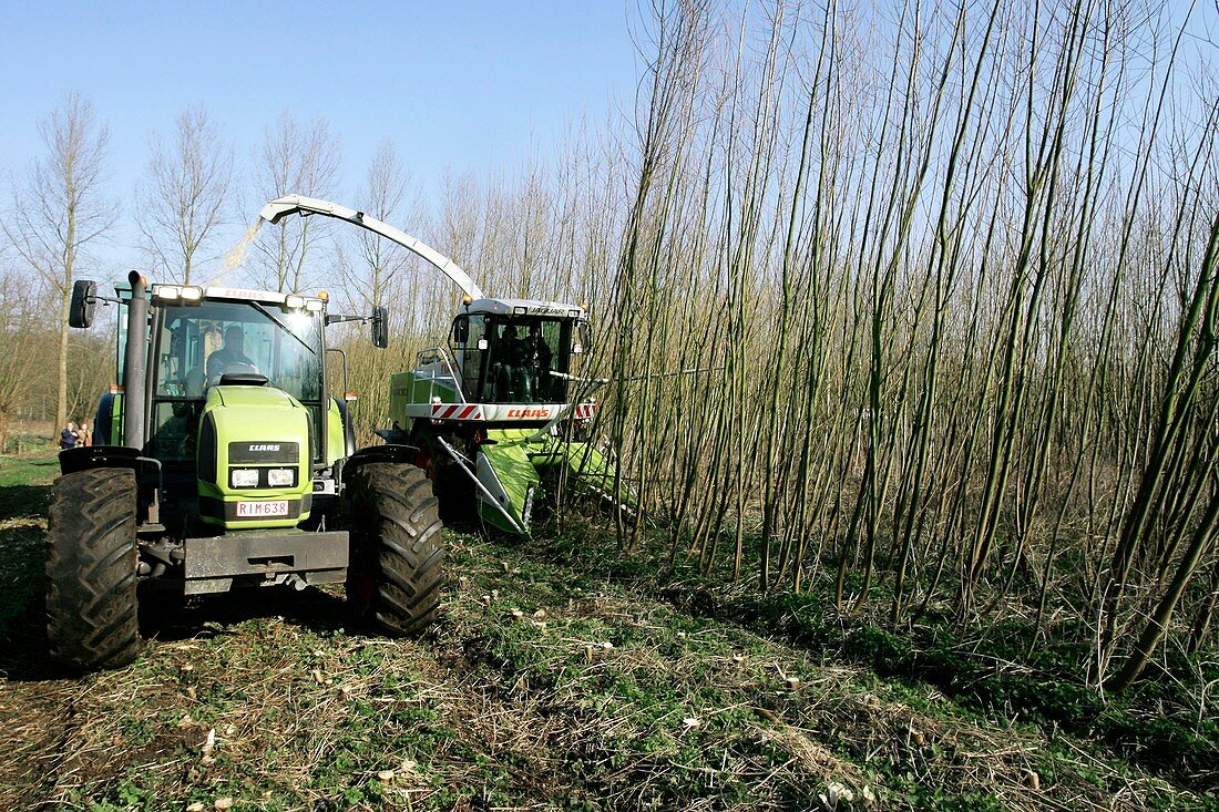 Biomass project,Belgium