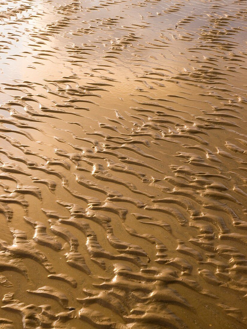 Rippled sand in regular pattern