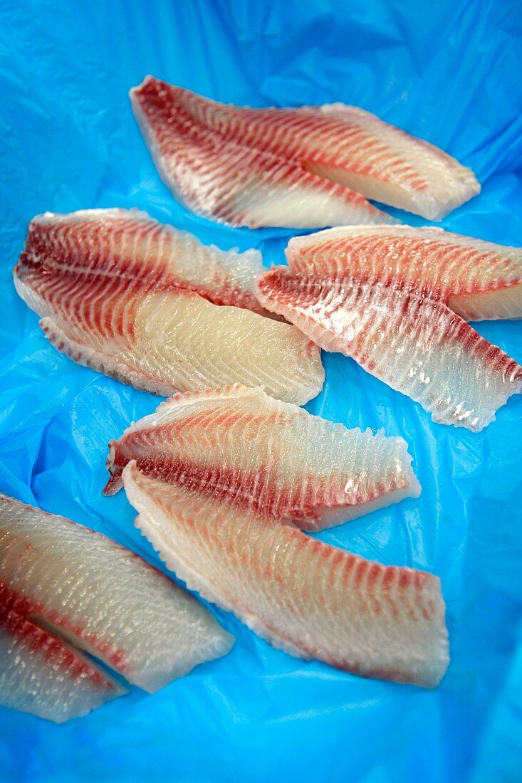 Tilapia fish fillets