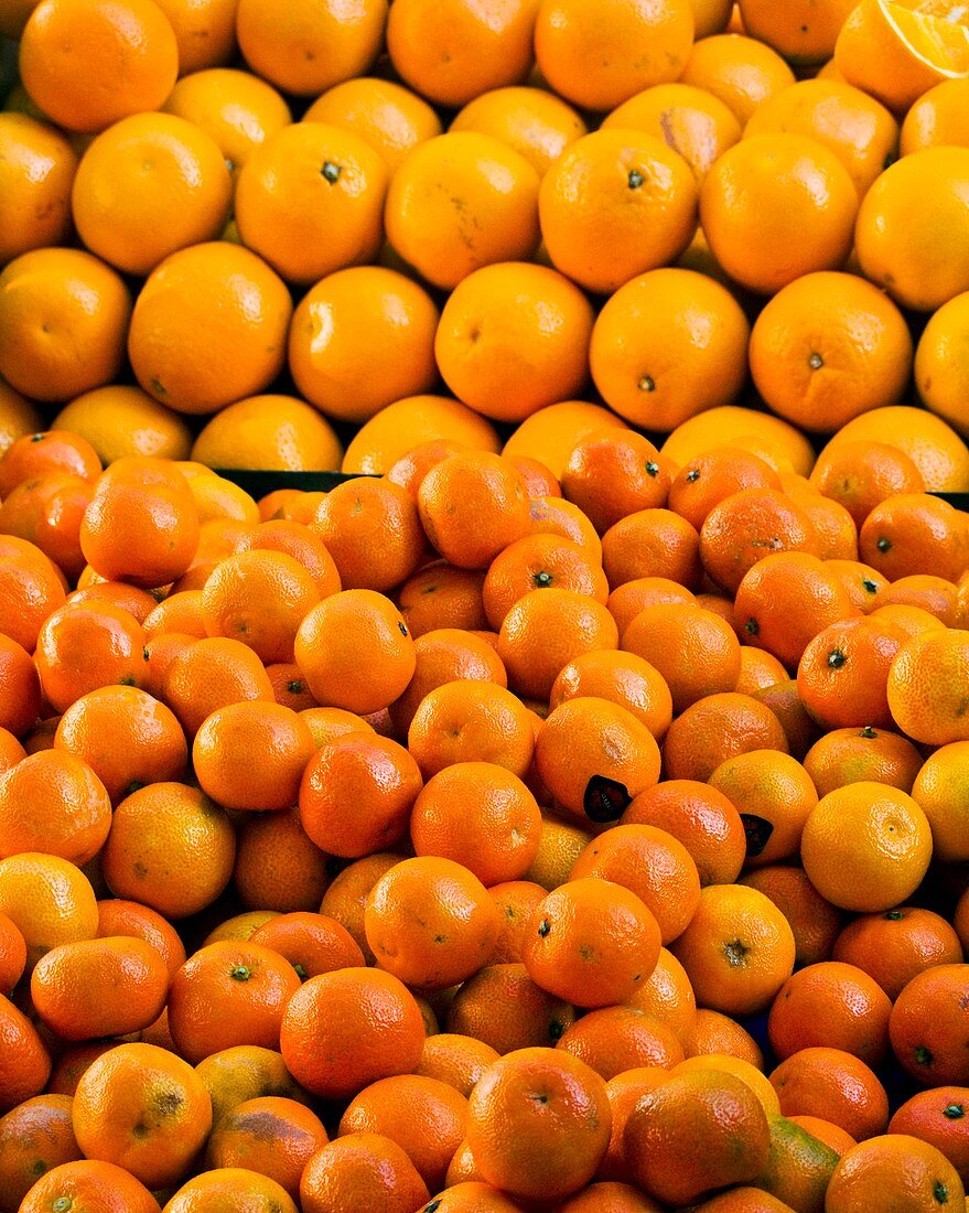 Clementines and oranges in market