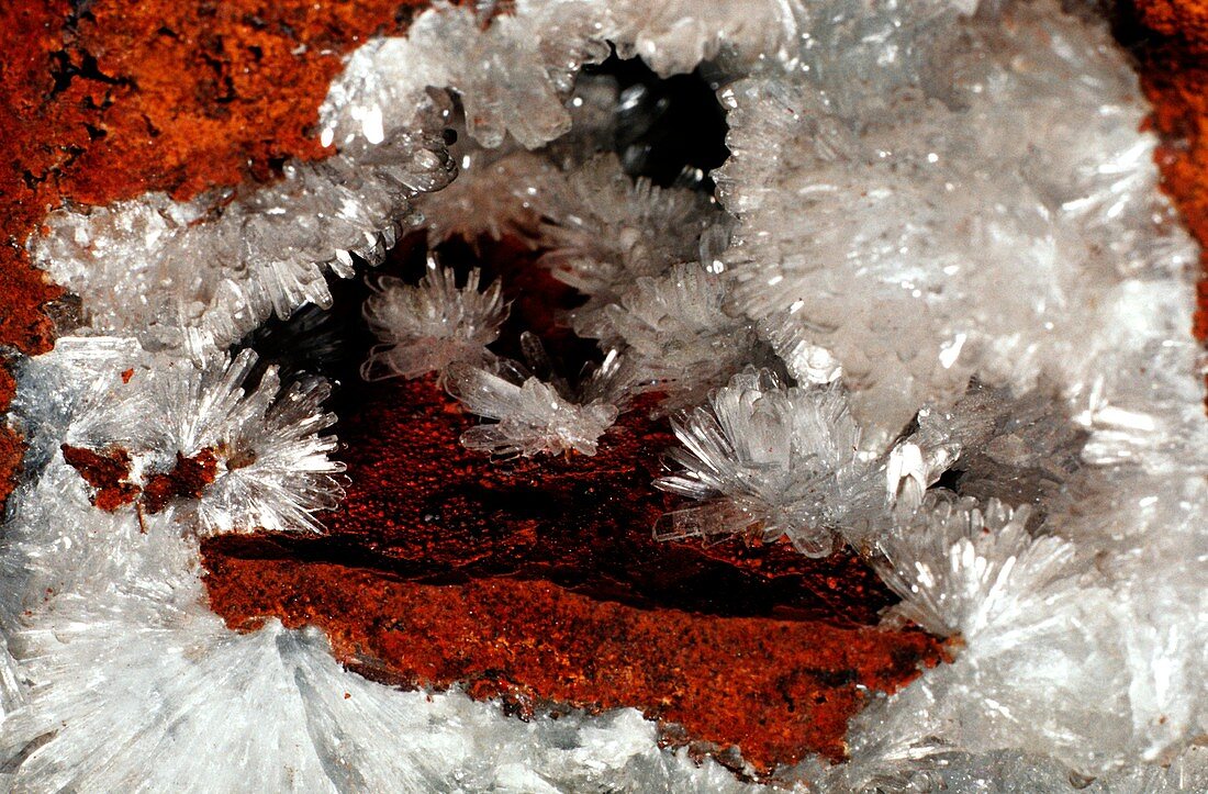 Gypsum crystals
