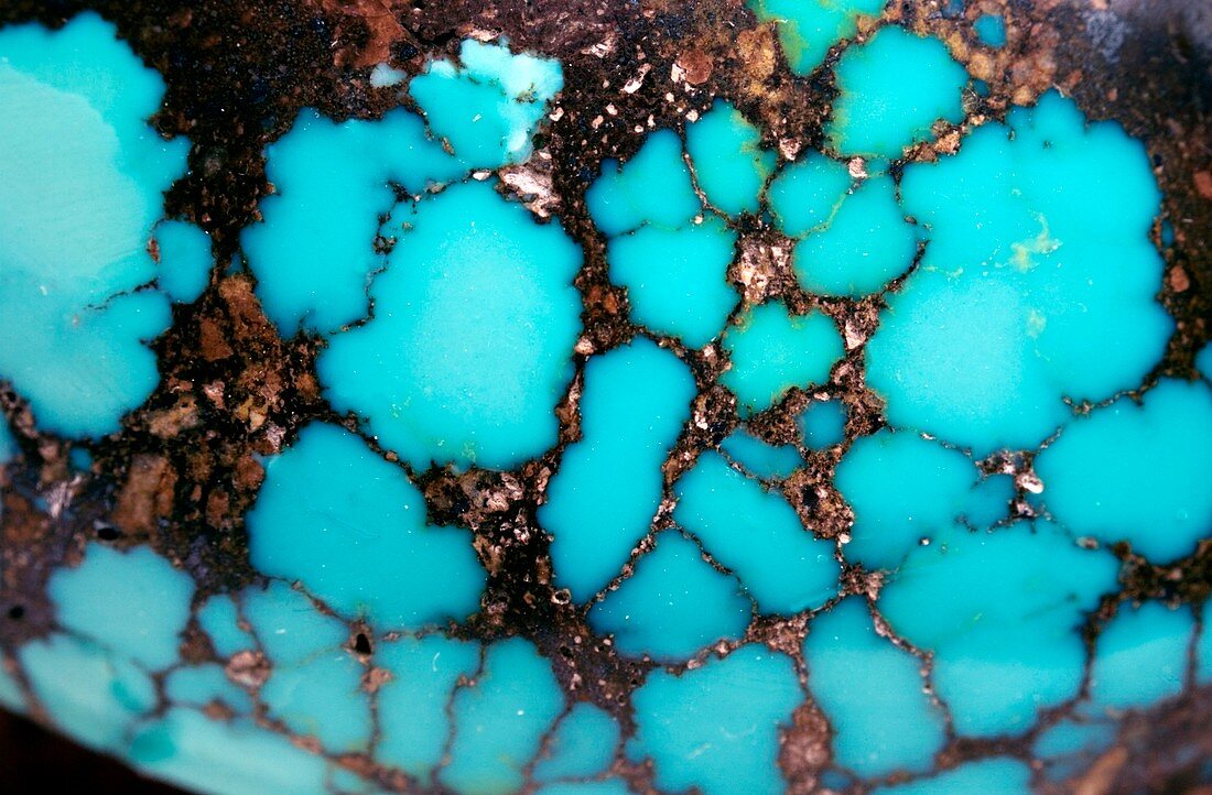Polished turquoise cabochon