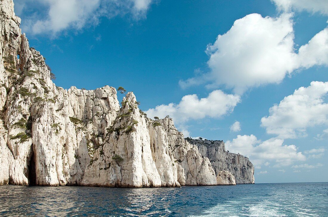 Limestone calanque cliffs,France