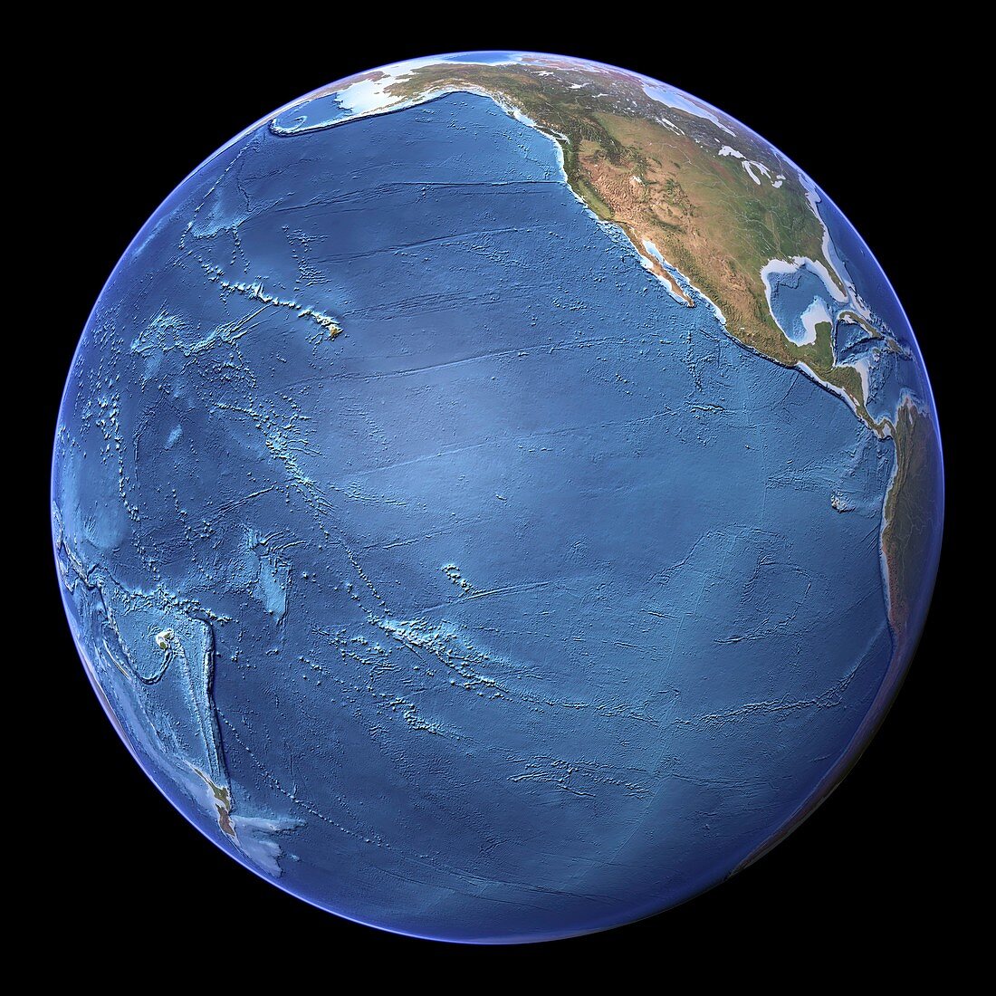 Pacific Ocean,topographic map