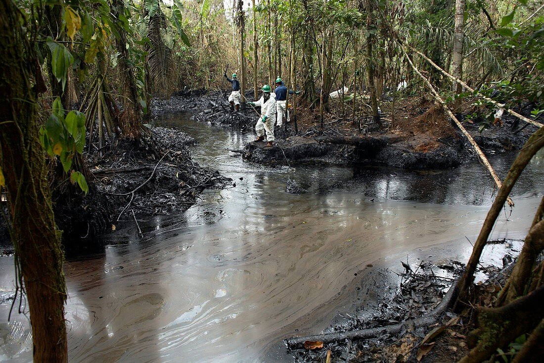 Oil spill damage control in a rainforest