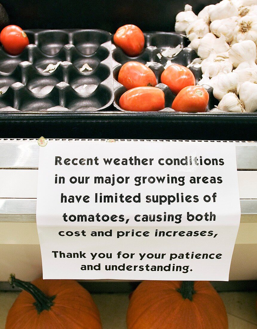 Effect of climate change on food prices