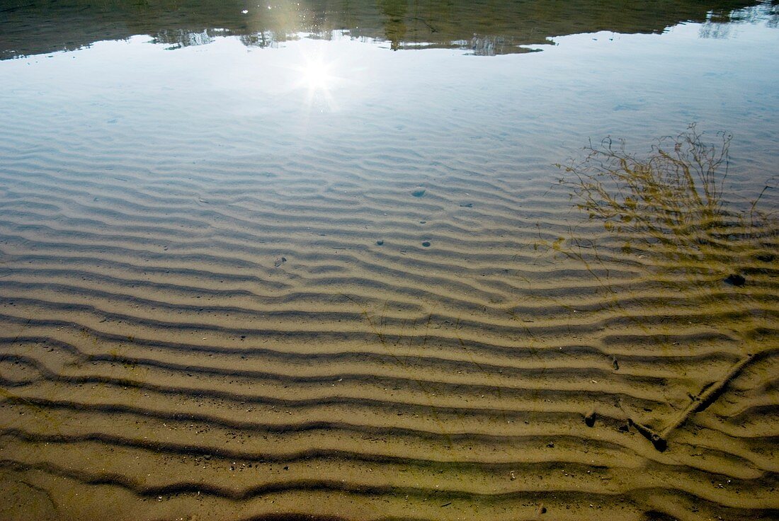Ripple marks in submerged sediments