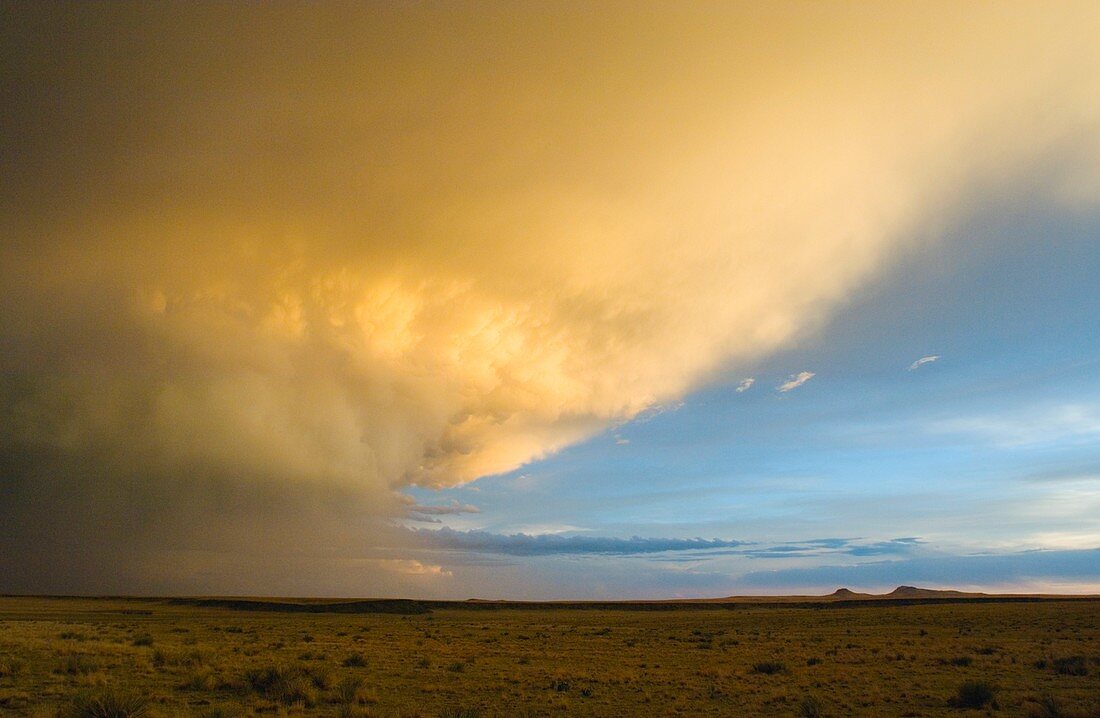 Sunlit storm clouds over plains