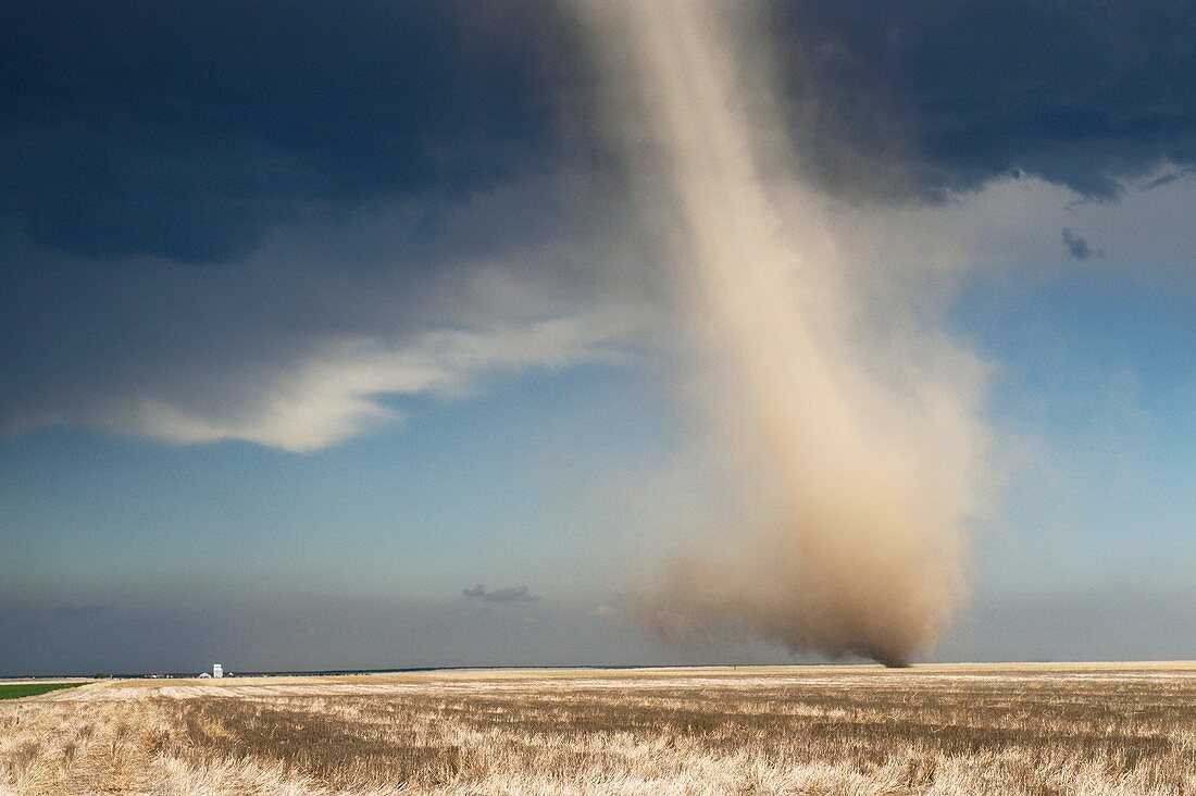 Landspout tornado