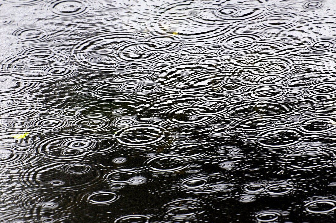 Ripples on a pond