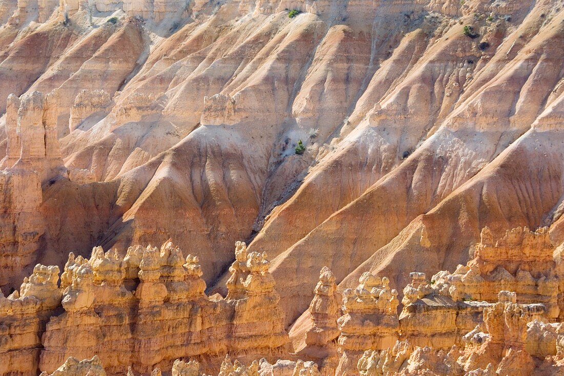 Sandstone hoodoos,Utah,USA