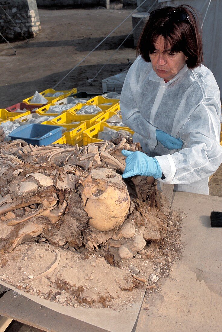 Islamic mummy research,Egypt