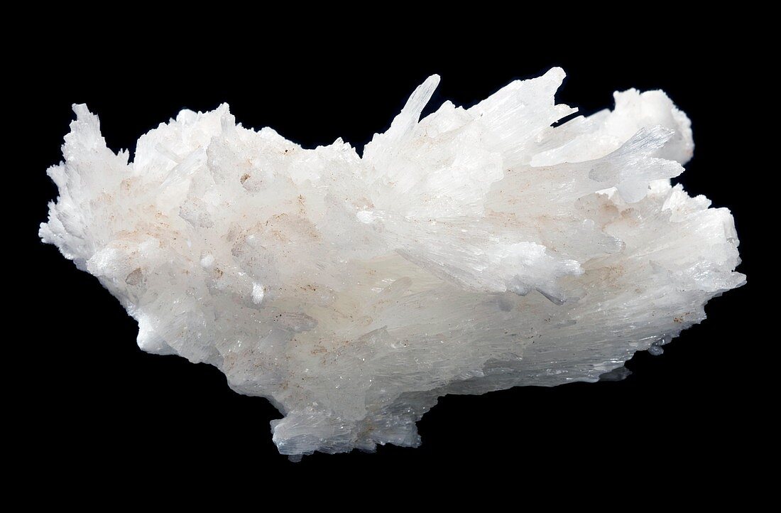 Coral calcite crystals