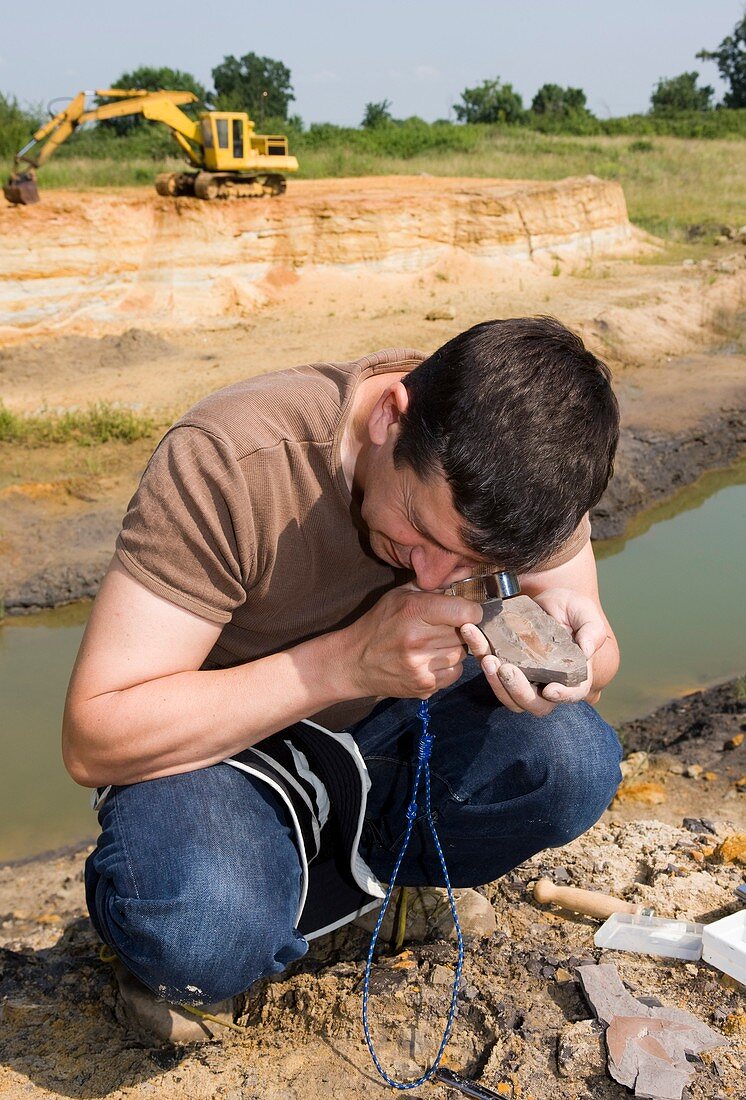 Palaeontologist examining a fossil