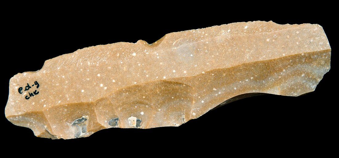 Palaeolithic stone tool