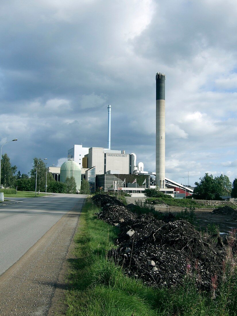 Biomass heating and power plant