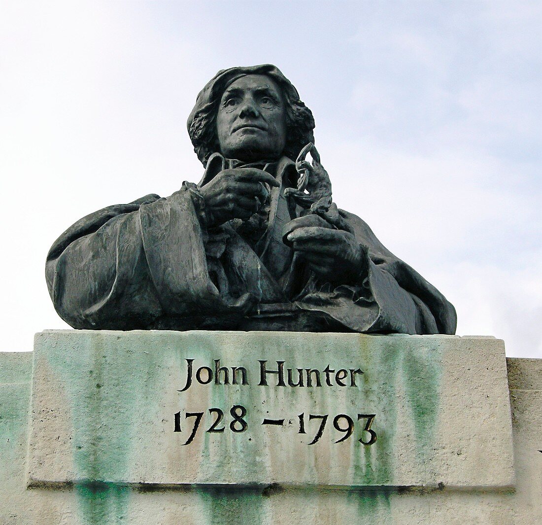 Bust of John Hunter,Scottish surgeon